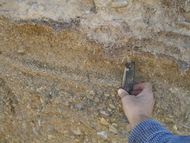  2006:09:11 00:40:34   NE BeachRdg1 - E side of gully on lake side of pond deposits - clast-supported small pebble cgl overlying matrix supported pebble cgl - photo 1.jpg